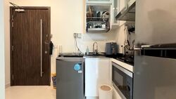 Parc Rosewood (D25), Condominium #579267181